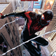 Illustration for article titled Sorry, Peter Parker, But Miles Morales Is The Better (Young) Spidey